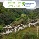 Loup et pastoralisme - La préservation de la biodiversité implique de trouver des solutions équilibrées pour préserver à la fois la faune sauvage et le pastoralisme qui rend lui-même des services écosystémiques. Vous nous retrouvez une fois de plus au congrès de la fédération des conservatoires des espaces naturels, où j’ai eu le plaisir d’échanger avec Gérard MAGNAVAL (CEN nouvelle aquitaine), Antoine BEGNAUD (CEN nouvelle aquitaine) et Marie HEURET (CEN Haute-Savoie) sur la question du partage des territoires ente le loup et les éleveurs. Cela sera l’occasion d’évoquer les compétences et possibilités d’action des collectivités sur ce sujet.
Bonne écoute Loup et pastoralisme